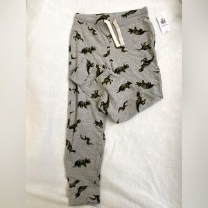 Boys 5T Dinosaur Jaggers Old Navy